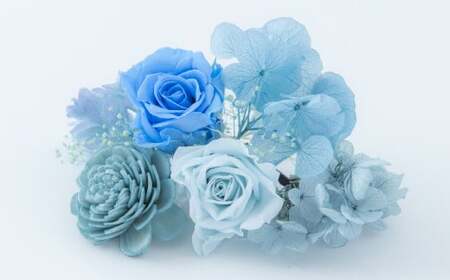 【ガラスケース入り】プリザーブドフラワー【水色】