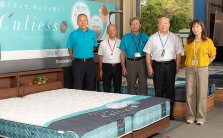 フランスベッド BG-001（跳ね上げ収納タイプ 300mm）シングル【ベッドフレームのみ】R-288