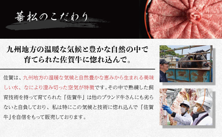 「佐賀牛」切り落とし1000g (500g×2パック）【冷凍配送】レビューキャンペーン開催中！