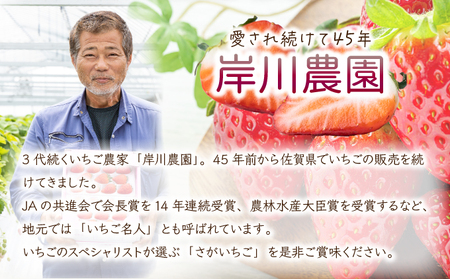  【先行予約】数量限定！佐賀県人気No.1苺”いちごさん” いちご いちご いちご いちご いちご いちご いちご いちご いちご いちご いちご いちご いちご いちご いちご いちご いちご いちご いちご いちご いちご いちご いちご いちご いちご いちご いちご いちご いちご いちご いちご いちご いちご いちご いちご いちご いちご いちご いちご いちご いちご いちご いちご いちご いちご いちご いちご いちご いちご いちご いちご いちご いちご いちご いちご いちご いちご いちご いちご いちご いちご いちご いちご いちご いちご いちご いちご いちご いちご いちご いちご いちご いちご いちご いちご いちご いちご いちご いちご いちご いちご いちご いちご いちご いちご いちご いちご いちご いちご いちご いちご いちご いちご いちご いちご いちご いちご いちご いちご いちご いちご いちご いちご いちご いちご いちご いちご いちご いちご いちご いちご いちご いちご いちご いちご いちご いちご いちご いちご いちご いちご いちご いちご いちご いちご いちご いちご いちご いちご いちご いちご いちご いちご いちご