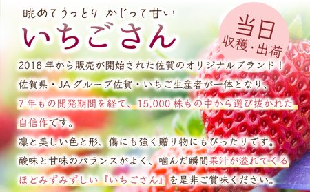  【先行予約】数量限定！佐賀県人気No.1苺”いちごさん” いちご いちご いちご いちご いちご いちご いちご いちご いちご いちご いちご いちご いちご いちご いちご いちご いちご いちご いちご いちご いちご いちご いちご いちご いちご いちご いちご いちご いちご いちご いちご いちご いちご いちご いちご いちご いちご いちご いちご いちご いちご いちご いちご いちご いちご いちご いちご いちご いちご いちご いちご いちご いちご いちご いちご いちご いちご いちご いちご いちご いちご いちご いちご いちご いちご いちご いちご いちご いちご いちご いちご いちご いちご いちご いちご いちご いちご いちご いちご いちご いちご いちご いちご いちご いちご いちご いちご いちご いちご いちご いちご いちご いちご いちご いちご いちご いちご いちご いちご いちご いちご いちご いちご いちご いちご いちご いちご いちご いちご いちご いちご いちご いちご いちご いちご いちご いちご いちご いちご いちご いちご いちご いちご いちご いちご いちご いちご いちご いちご いちご いちご いちご いちご いちご