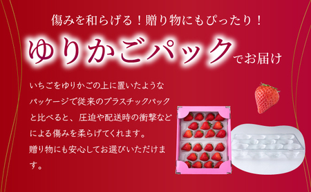  【先行予約】数量限定！佐賀県人気No.1苺”いちごさん” いちご いちご いちご いちご いちご いちご いちご いちご いちご いちご いちご いちご いちご いちご いちご いちご いちご いちご いちご いちご いちご いちご いちご いちご いちご いちご いちご いちご いちご いちご いちご いちご いちご いちご いちご いちご いちご いちご いちご いちご いちご いちご いちご いちご いちご いちご いちご いちご いちご いちご いちご いちご いちご いちご いちご いちご いちご いちご いちご いちご いちご いちご いちご いちご いちご いちご いちご いちご いちご いちご いちご いちご いちご いちご いちご いちご いちご いちご いちご いちご いちご いちご いちご いちご いちご いちご いちご いちご いちご いちご いちご いちご いちご いちご いちご いちご いちご いちご いちご いちご いちご いちご いちご いちご いちご いちご いちご いちご いちご いちご いちご いちご いちご いちご いちご いちご いちご いちご いちご いちご いちご いちご いちご いちご いちご いちご いちご いちご いちご いちご いちご いちご いちご いちご