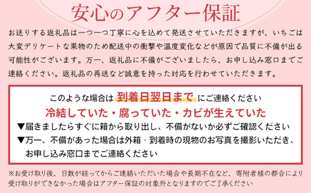  【先行予約】数量限定！佐賀県人気No.1苺”いちごさん” いちご いちご いちご いちご いちご いちご いちご いちご いちご いちご いちご いちご いちご いちご いちご いちご いちご いちご いちご いちご いちご いちご いちご いちご いちご いちご いちご いちご いちご いちご いちご いちご いちご いちご いちご いちご いちご いちご いちご いちご いちご いちご いちご いちご いちご いちご いちご いちご いちご いちご いちご いちご いちご いちご いちご いちご いちご いちご いちご いちご いちご いちご いちご いちご いちご いちご いちご いちご いちご いちご いちご いちご いちご いちご いちご いちご いちご いちご いちご いちご いちご いちご いちご いちご いちご いちご いちご いちご いちご いちご いちご いちご いちご いちご いちご いちご いちご いちご いちご いちご いちご いちご いちご いちご いちご いちご いちご いちご いちご いちご いちご いちご いちご いちご いちご いちご いちご いちご いちご いちご いちご いちご いちご いちご いちご いちご いちご いちご いちご いちご いちご いちご いちご いちご