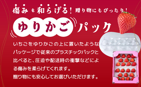 数量限定!あまい 果汁溢れる!最高級品質 ”さがほのか” いちご 約1kg(235g×4p)