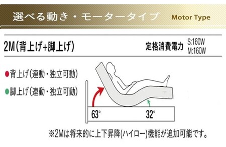フランスベッド電動リクライニングGS-02F（2モーター：背上げ・脚上げ）レッグタイプ　マットレス・手すり付き（シングル）