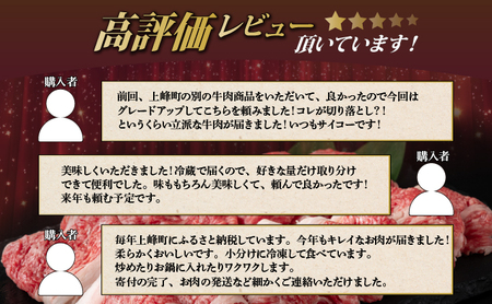 【佐賀牛】切り落とし 国産牛 黒毛和牛 A4〜A5ランク600g【チルド配送】 B-1023