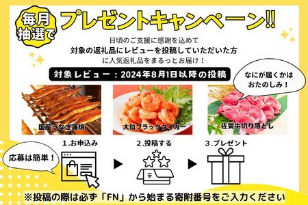 ＜数量限定＞『国産』うなぎ蒲焼 2尾 計400g B-1030【老舗うなぎ専門店で使用される厳選した国産うなぎ 冷凍でお届け！】《レビューキャンペーン対象返礼品》