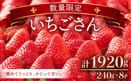 ☆赤い宝石☆佐賀県産いちごさん（240g✕8P）計1920g【先行予約開始】2025年1月より順次発送【数量限定】B-1047-AS