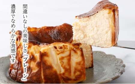 A-74 濃厚バスクチーズケーキ パンプキン