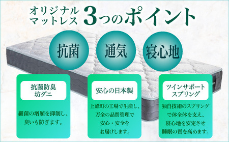 フランスベッド ライフトリートメント LT-101F（脚付タイプ）セミダブル【マットレスセット】S-224