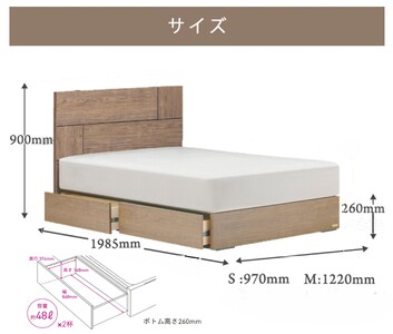 フランスベッド ライフトリートメント LT-101F（収納タイプ）セミダブル【マットレスセット】T-123
