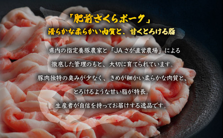 佐賀ざんまい！厳選5種焼肉盛り合わせ600g（2～3人前） 佐賀牛 肩ロース カルビ 肥前さくらポーク 豚バラ 豚ロース 有明骨太鶏 モモ B-1089