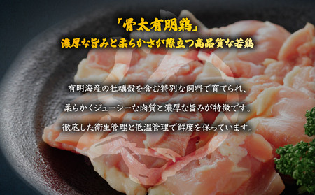 佐賀ざんまい！厳選5種焼肉盛り合わせ600g（2～3人前） 佐賀牛 肩ロース カルビ 肥前さくらポーク 豚バラ 豚ロース 有明骨太鶏 モモ B-1089