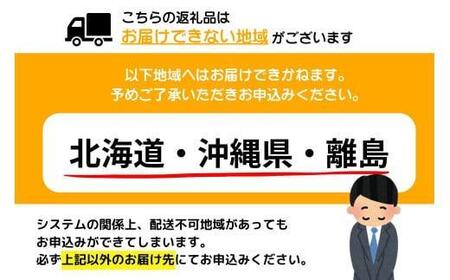 【令和8年6月発送】5～6人前 絶品塩もつ鍋セット（600g）