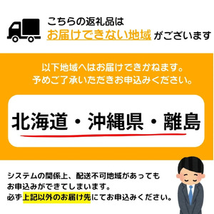 【2026年1月配送】5~6人前 国産牛モツ入り 絶品塩もつ鍋(600g)