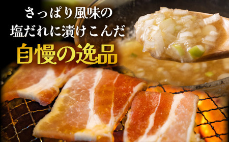 塩ダレ スタミナ 豚肉セット 1200g