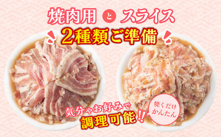 塩ダレ スタミナ 豚肉セット 1200g