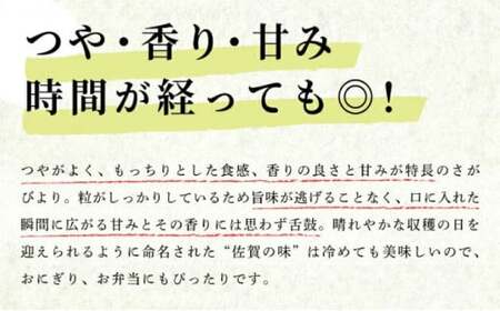 《先行予約》《2025年11月発送》 令和7年産 さがびより（精米）20kg