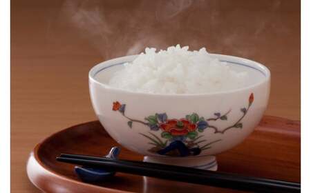 《先行予約》《2025年11月発送》 令和7年産 さがびより（精米）20kg