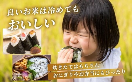 令和7年産 さがびより 佐賀県産(精米)20kg 《2025年12月発送》