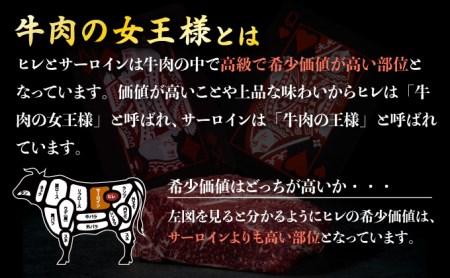 【佐賀牛】ヒレサイコロステーキ 500g F-137