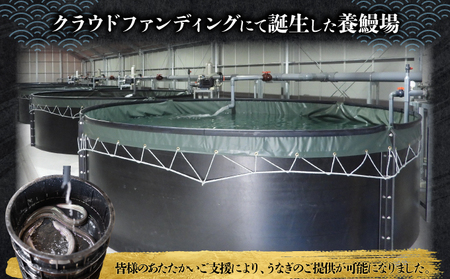 D-632-PE 上峰町産うなぎ200g×2尾