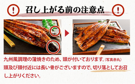 ≪最短7営業日以内発送≫【数量限定】国産うなぎ蒲焼 2尾 計400g B-1095-PE