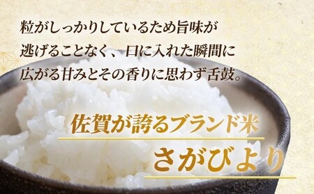 令和7年産 新米 さがびより 佐賀県産（精米）5kg 《2026年1月以降順次発送》