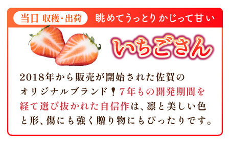 【先行予約】数量限定！佐賀県人気No.1苺”いちごさん” たっぷり約1.9㎏（235g×8p）