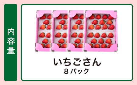【先行予約】数量限定！佐賀県人気No.1苺”いちごさん” たっぷり約1.9㎏（235g×8p）