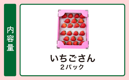 【先行予約】数量限定!佐賀県人気No.1苺”いちごさん” お試し470g(235g×2p)