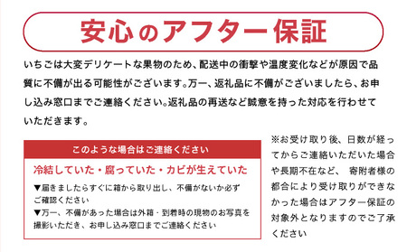 【先行予約】数量限定！あまい果汁溢れる！最高級品質”さがほのか” お試し470g（235g×2p）