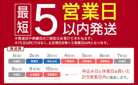 《最短5営業日以内発送》訳あり 令和6年産 さがびより（精米）10kg