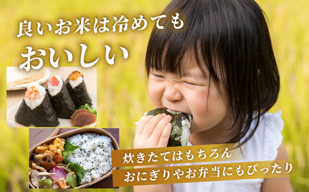 《最短5営業日以内発送》訳あり 令和6年産 さがびより（精米）10kg