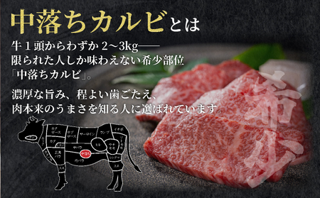秘伝のタレ漬け!牛中落ちカルビ 500g