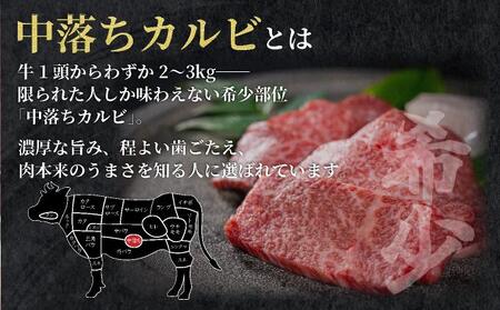 秘伝のタレ漬け!牛中落ちカルビ 1000g 