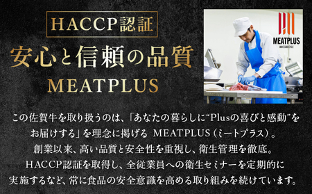 艶さし！【A4~A5】佐賀牛切り落とし 1kg (500g×2P)