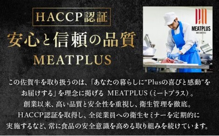 佐賀牛切り落とし 3kg (500g×6P) 