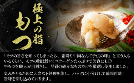 【2026年2月発送】2~3人前 国産牛モツ入り 絶品塩もつ鍋(300g)