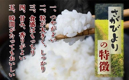 年内発送 12/25まで 特選米100%!令和7年産さがびより(精白米) 10kg