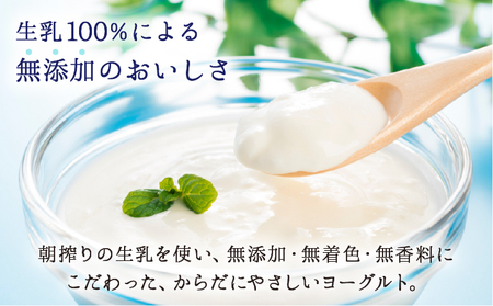 大富牧場の無添加ヨーグルト グリークヨーグルト 450g×1