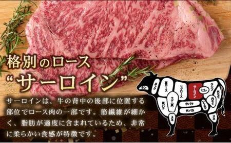 【佐賀牛】肉の王様☆サーロインステーキ 500g (約250g×2枚）