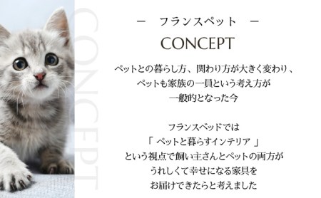 「ふるさと納税限定品」【フランスペット】キャットウォークベンチ(木製猫家具) H-294