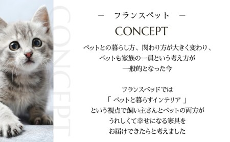 「ふるさと納税限定品」【フランスペット】猫ベッドとしても使える♪キャットタワー&ウォークベンチセット(木製猫家具) P-186