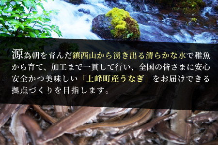 【稚魚から育てて来年お届け】180g×3尾!!『上峰産』うなぎの蒲焼 B-724