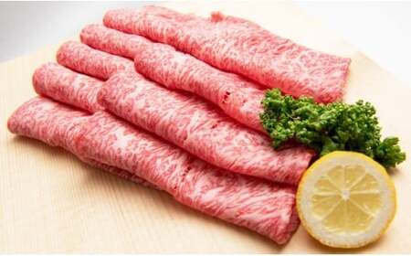 「佐賀牛」贅沢セット（ステーキ200g×4・スライス700g）【チルドでお届け!】N-90