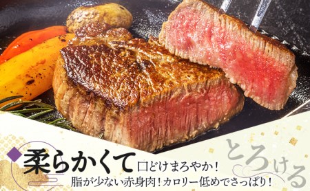 佐賀牛ヒレ180g×6枚 H-272