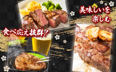 【10回定期便】佐賀牛ヒレ180g×6枚 V-26