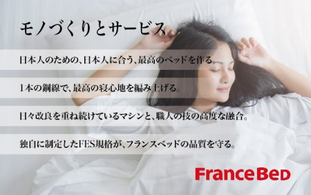 フランスベッド PR70-06C（収納タイプ）シングル【ベッドフレームのみ】I-354