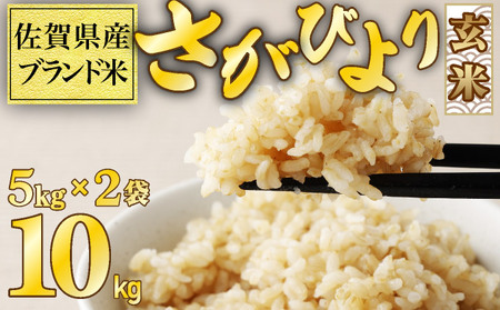 玄米10kg【完全自然栽培の美味しいお米！】令和2年度佐賀県産！「伊勢ヒカリ」